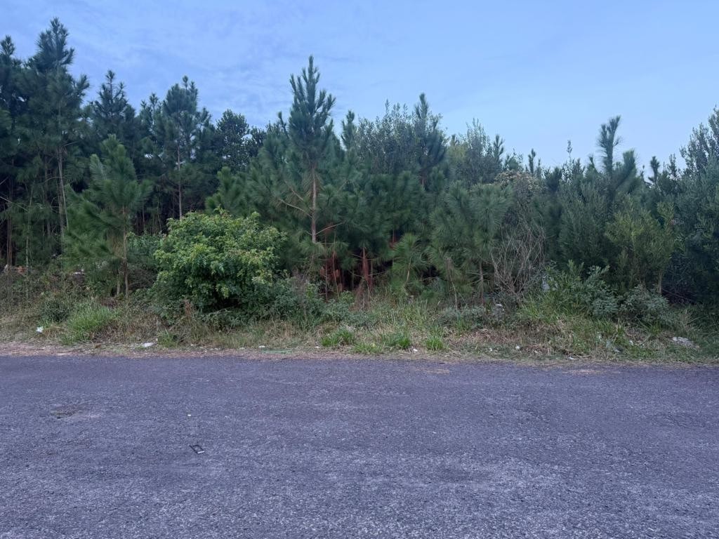 Imagem do imóvel Terreno à venda, Village Posto 09 em Capão Da Canoa referência 803